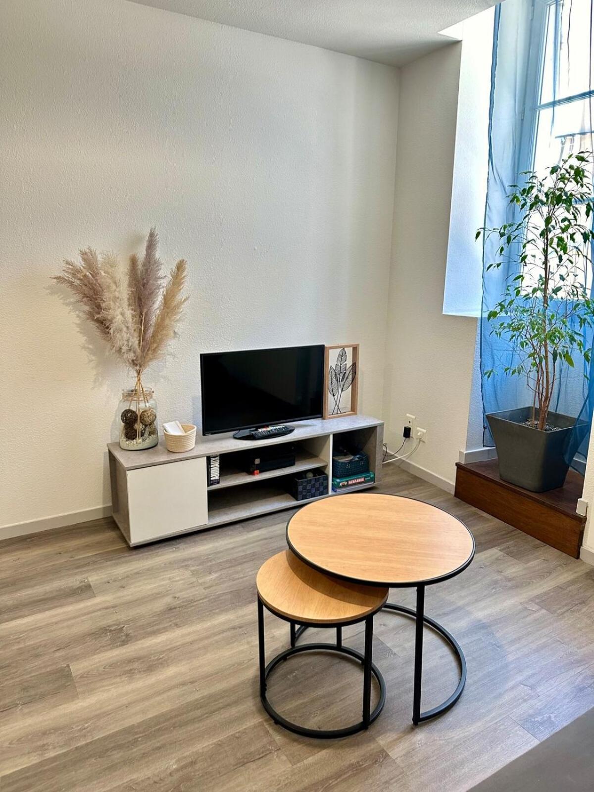 Appartement Calme Au Coeur De La Ville Lons-le-Saunier Bagian luar foto